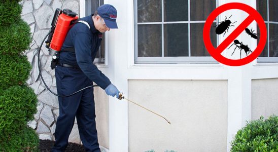 Kovancılar Bit İlaçlama böcek ilaçlama ve haşere kontrolü — ilaclama-tr.com